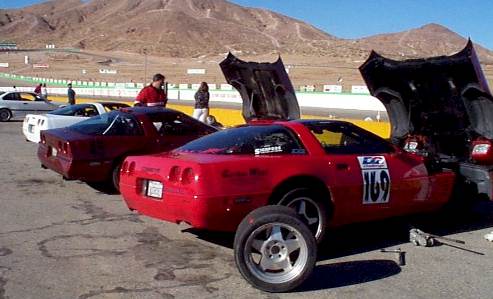 tcc willow dec98 vettes.jpg (28164 bytes)
